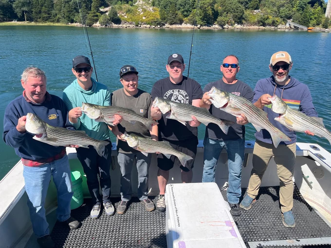 Striped Bass & Bluefish
