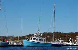 Hot Tuna Boat Wicked Tuna