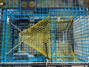 lobster trap