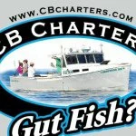 Connemara Bay Fishing Charters